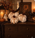 Pumpkin Trio